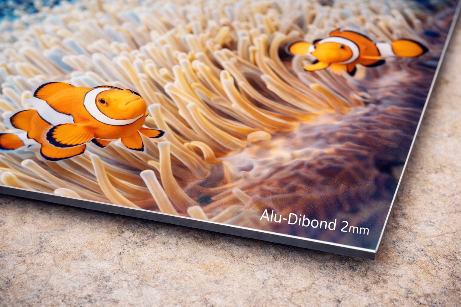 Zoom auf Aluminiumplatte
