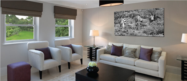 Fotos aufziehen forex